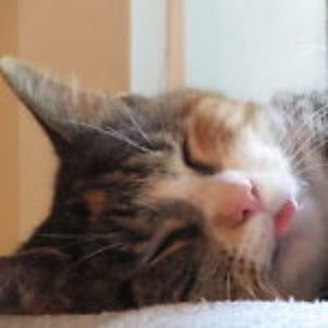 Meet your Posher, Vickie